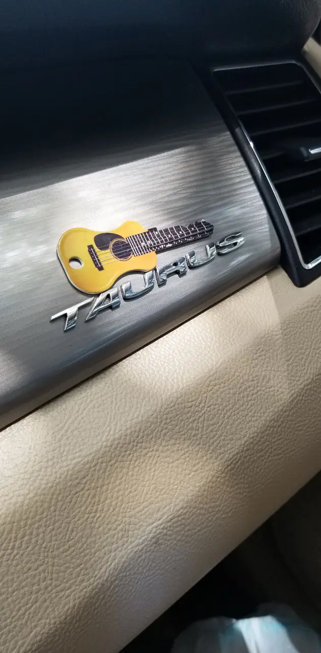Taurus logo guitar