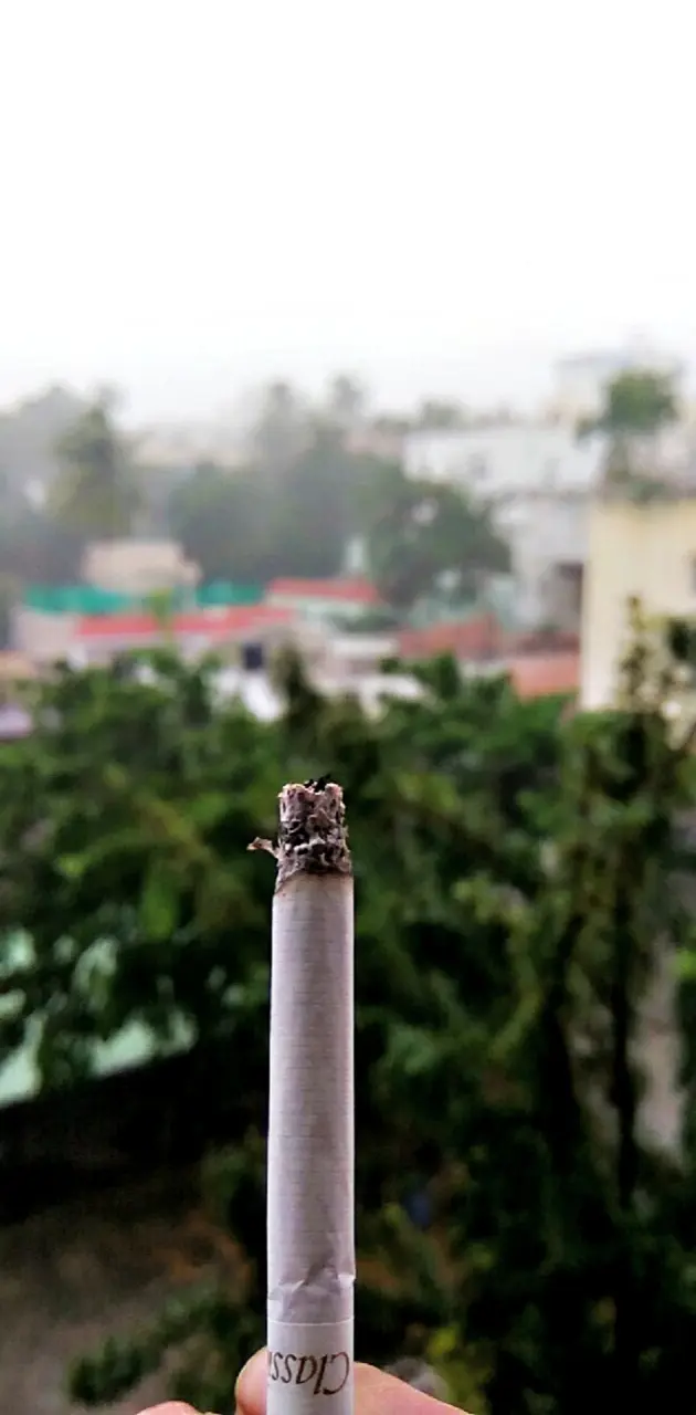 Milds cigarette