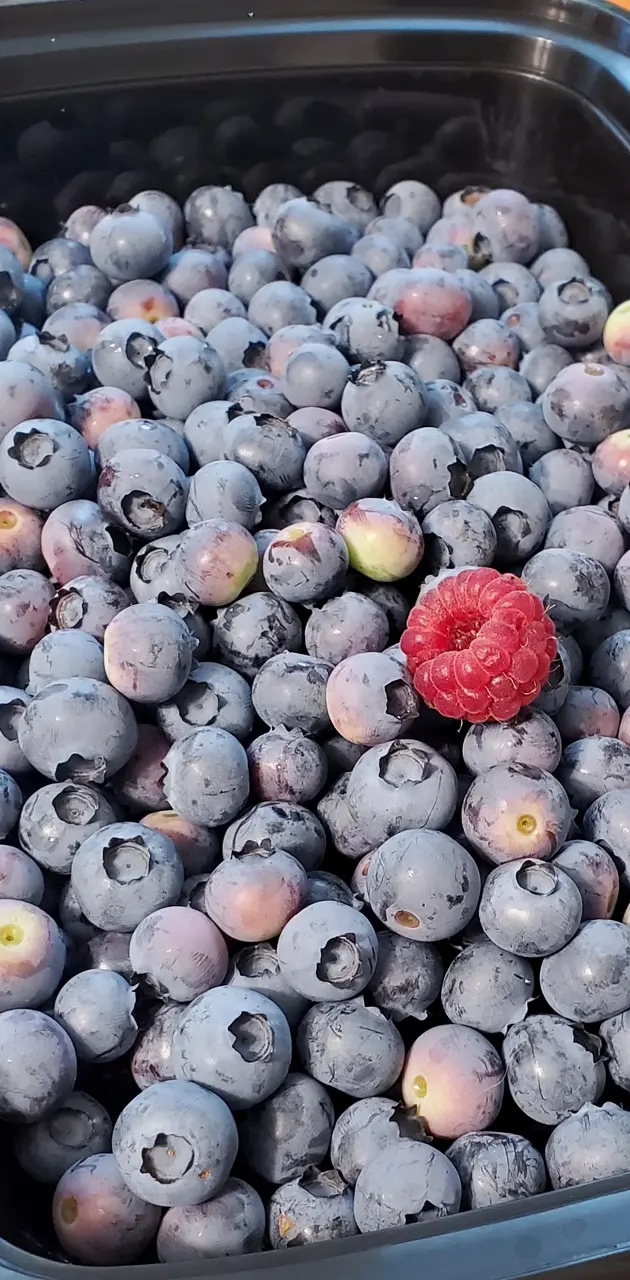 Blueberries Raspberry