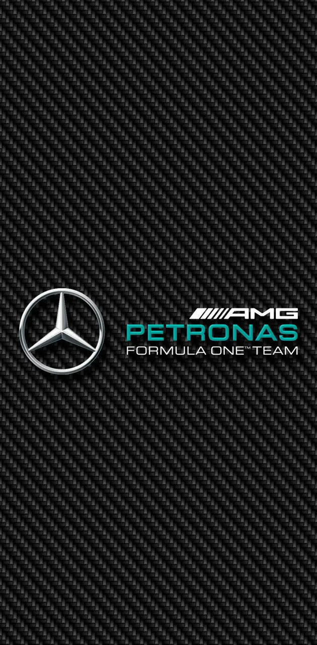 F1 Mercedes Carbon