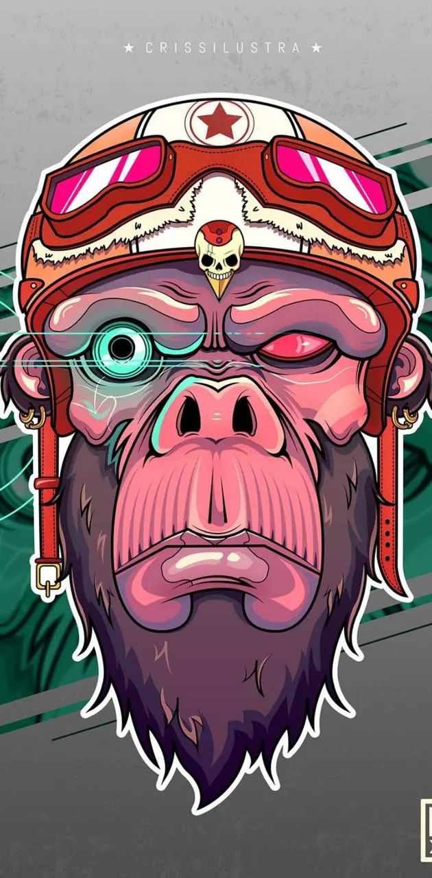 Cyber monkey