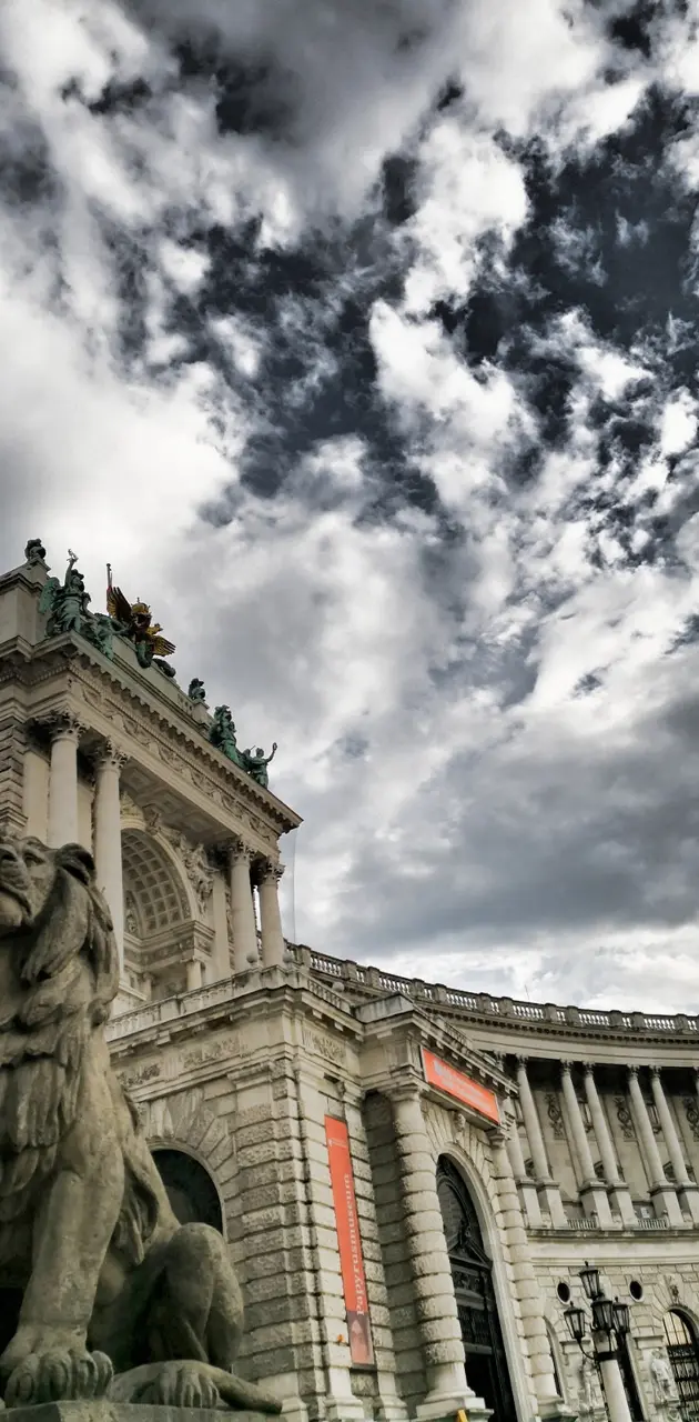 vienna wallpaper by MrBirno - Download on ZEDGE™ | e138
