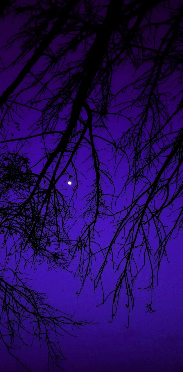 Download Dark Purple Aesthetic Night Moon Wallpaper