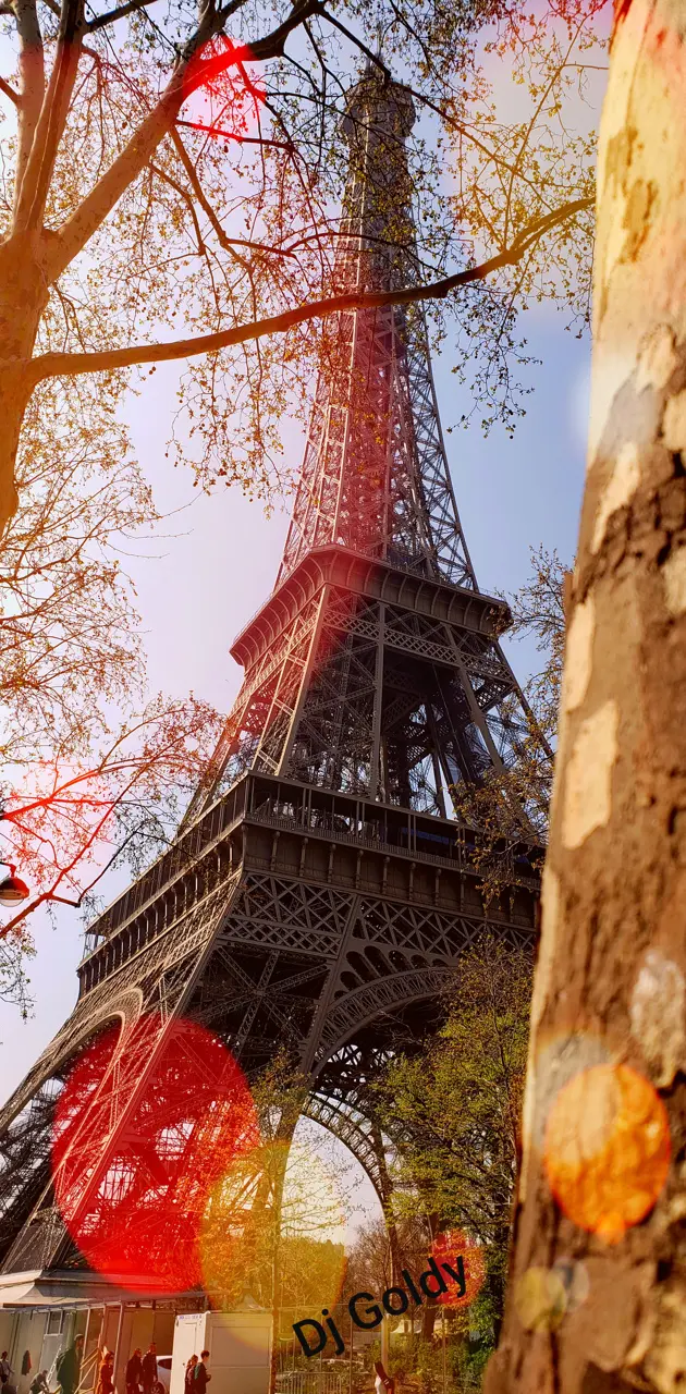 Eiffel Tower Paris  