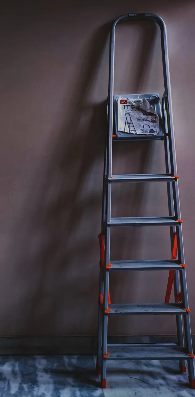 The ladder