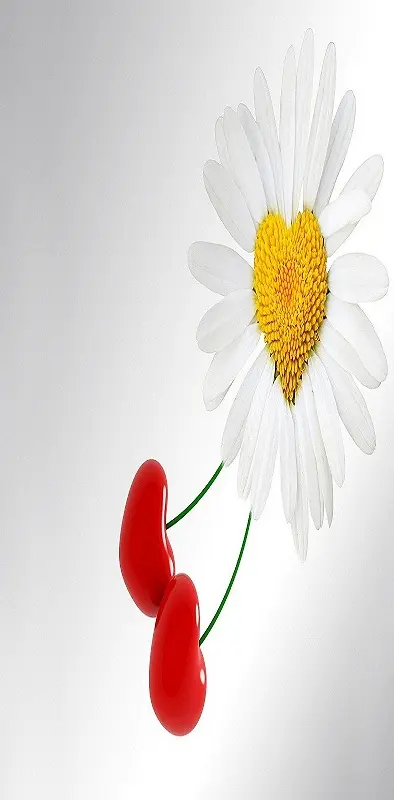 Love White Flower