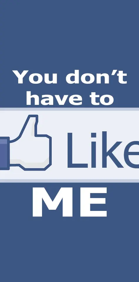 The Facebook Like