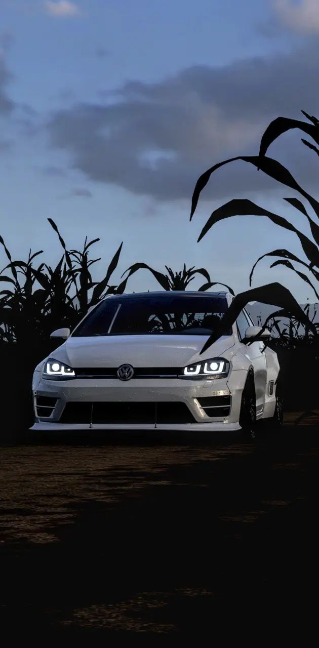 Volkswagen Golf R 