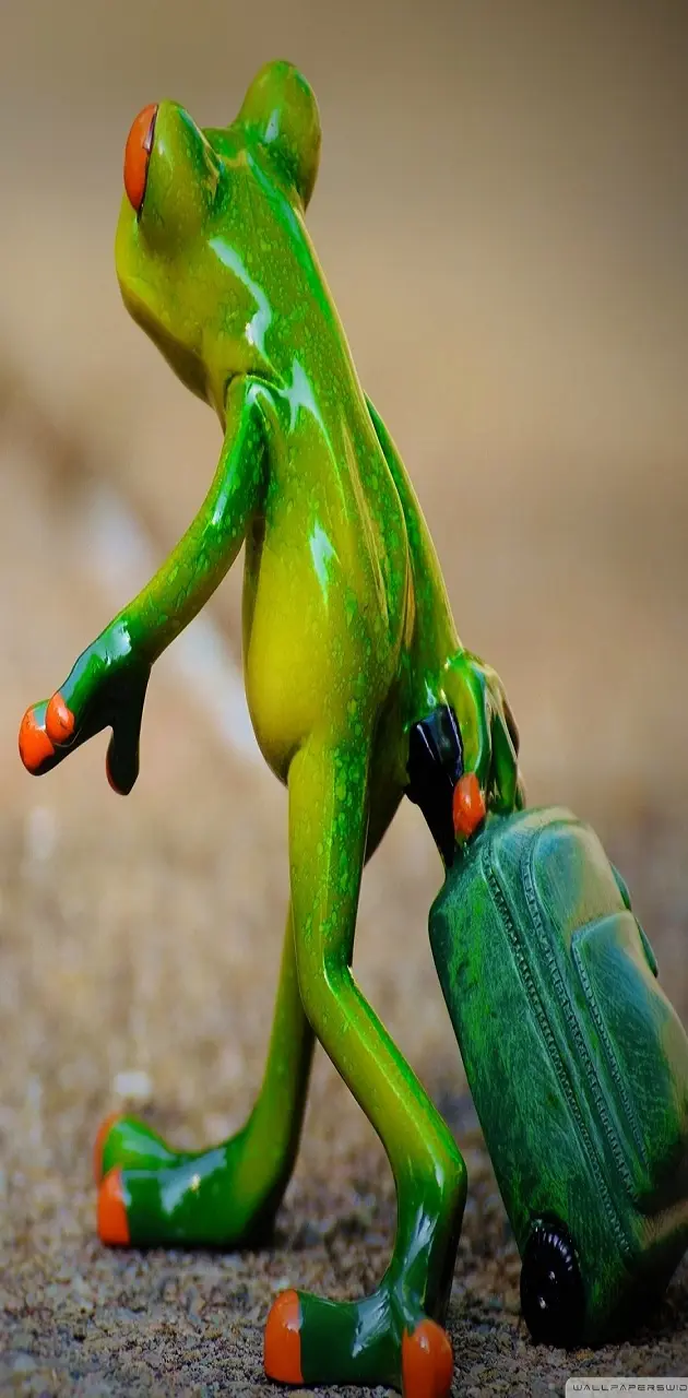 Kermit the frog 