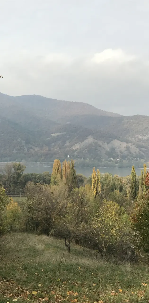 Danube-Visegrad