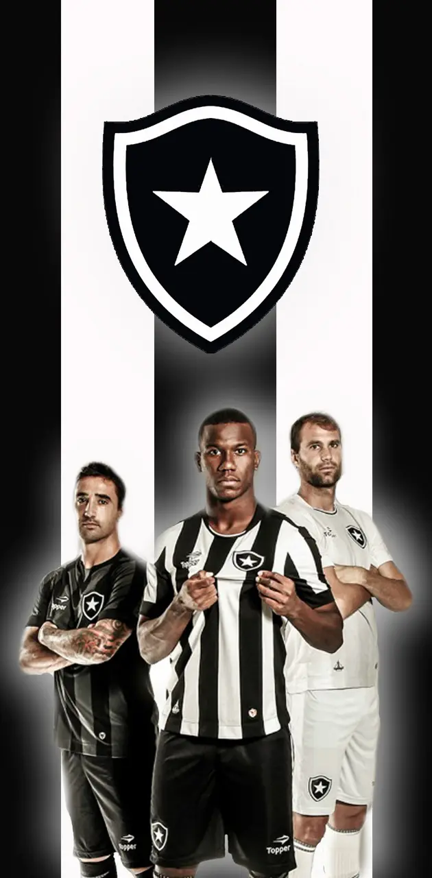Botafogo 2015