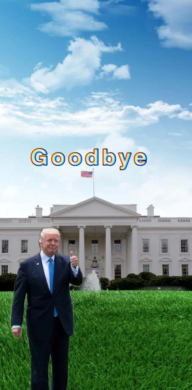 Trump final days 