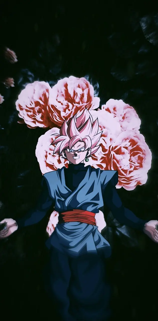 Goku black, goku aesthetic, anime, HD phone wallpaper