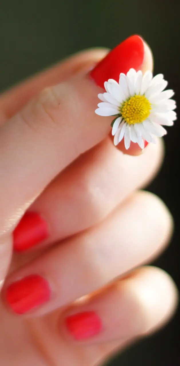 Flower and hand