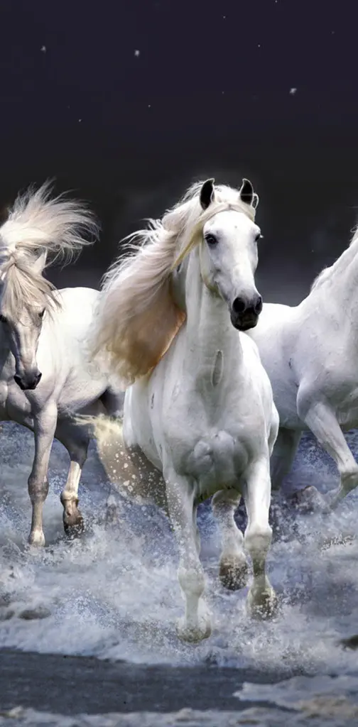 Divine Horses