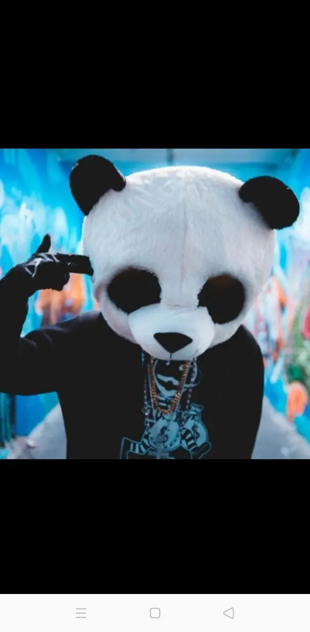 Panda experience