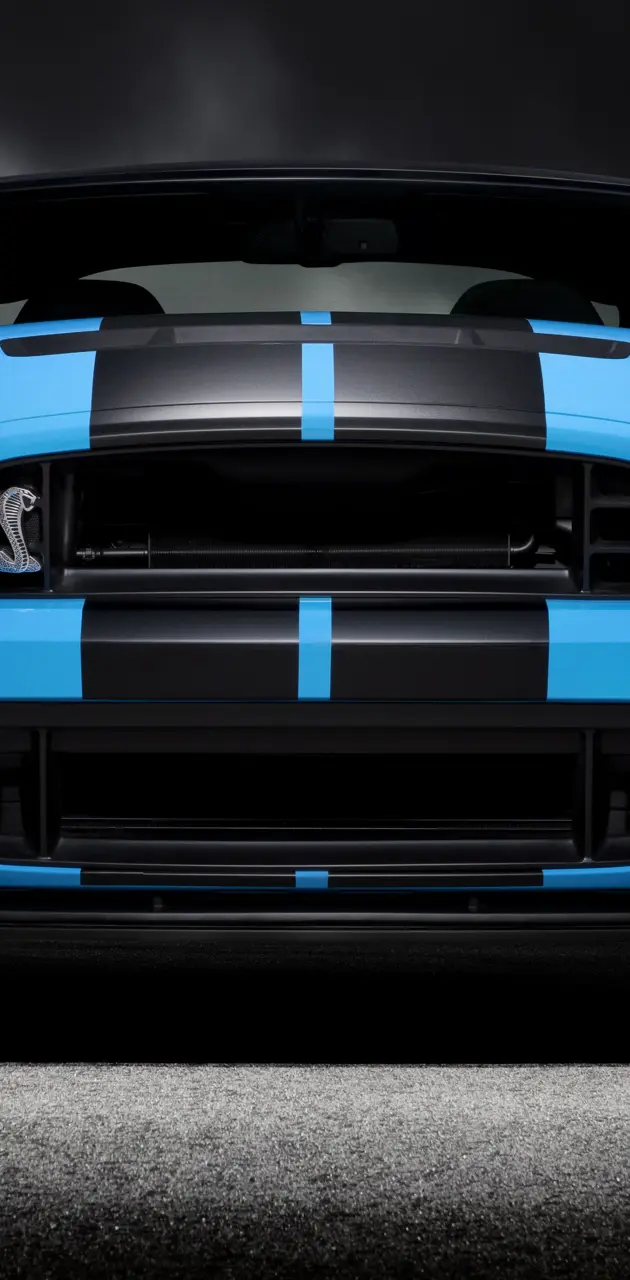 2013 Shelby Gt500