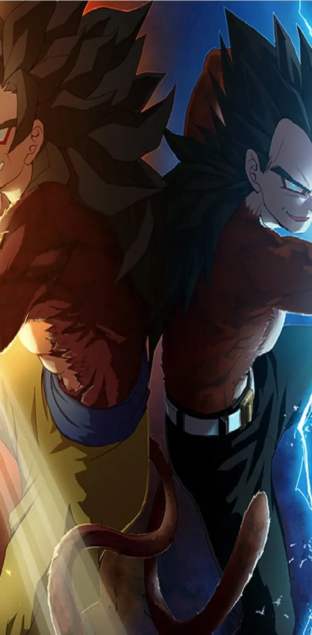 Goku und Vegeta