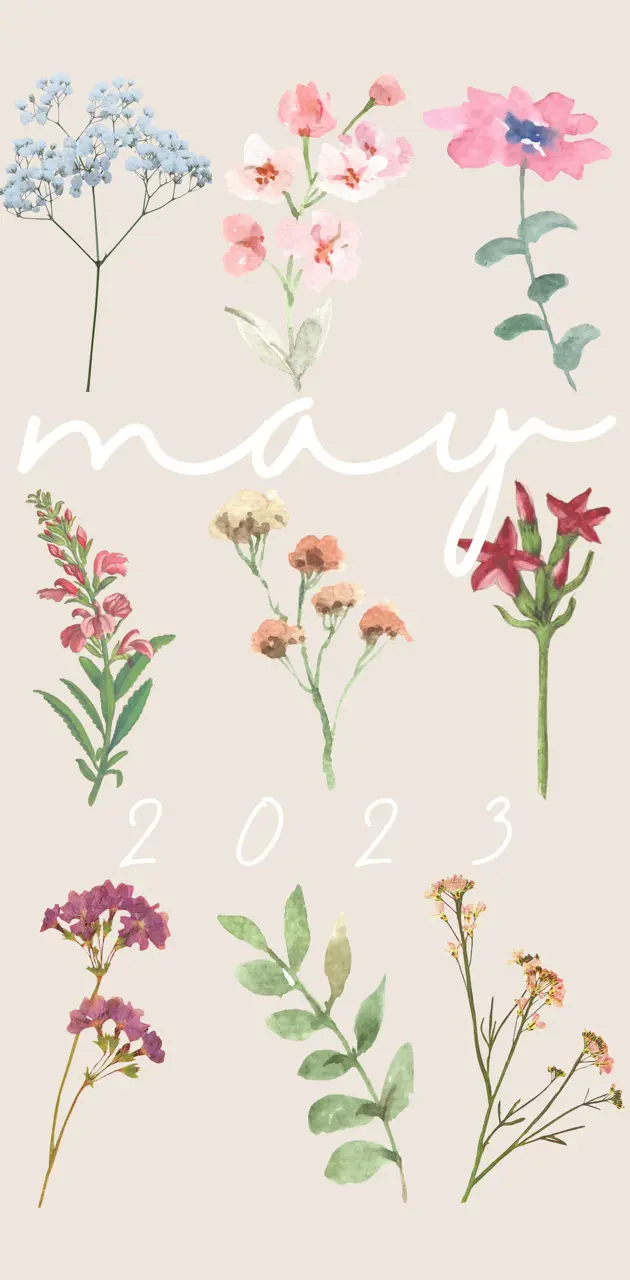 May Flowers 2023