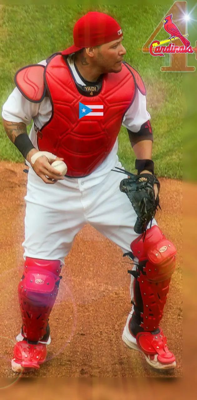 Yadier Molina MLB wallpaper by AlamRodriguez - Download on ZEDGE