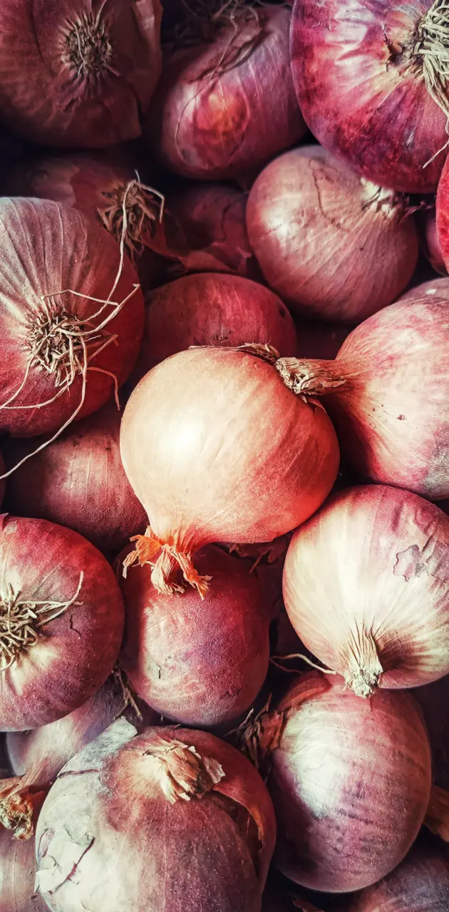 Basic onions for basic