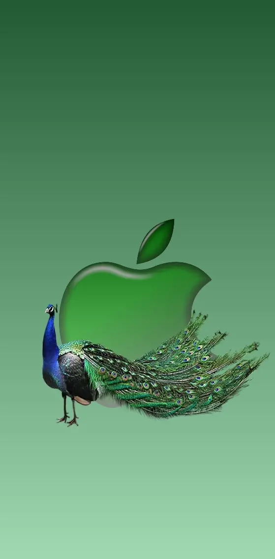 apple and peacock