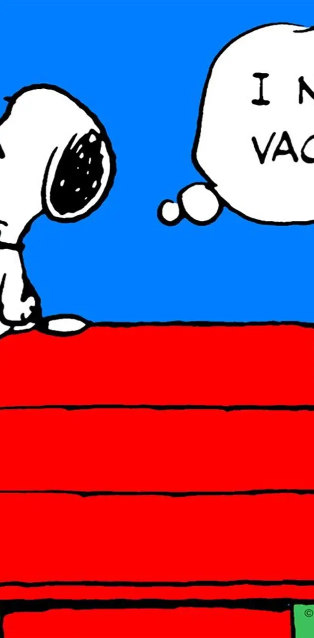 Snoopy Vacation