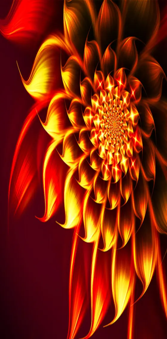 Abstract   Flower