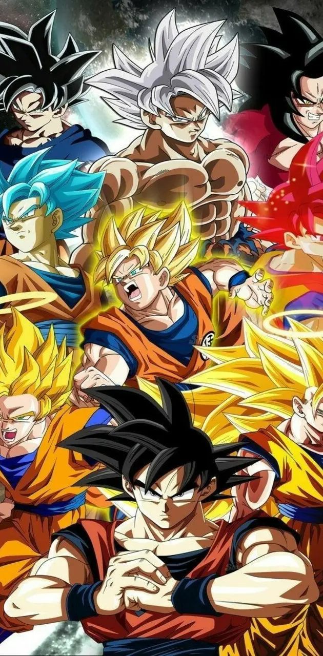 Phases of Goku