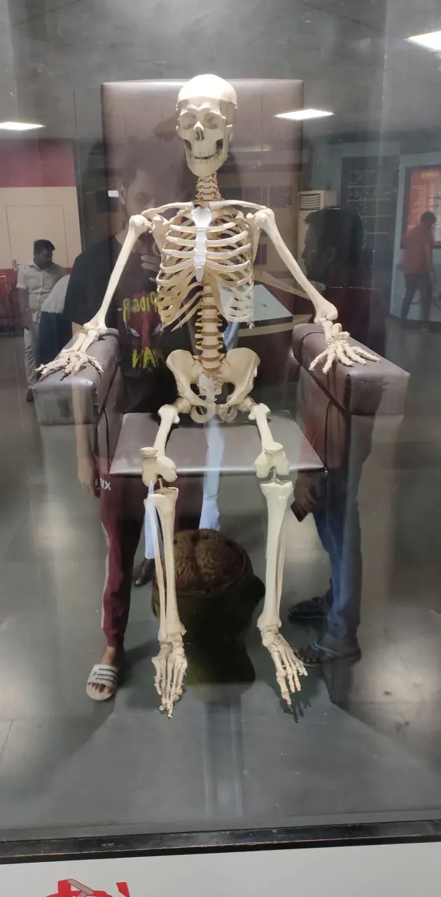 Funny skeleton