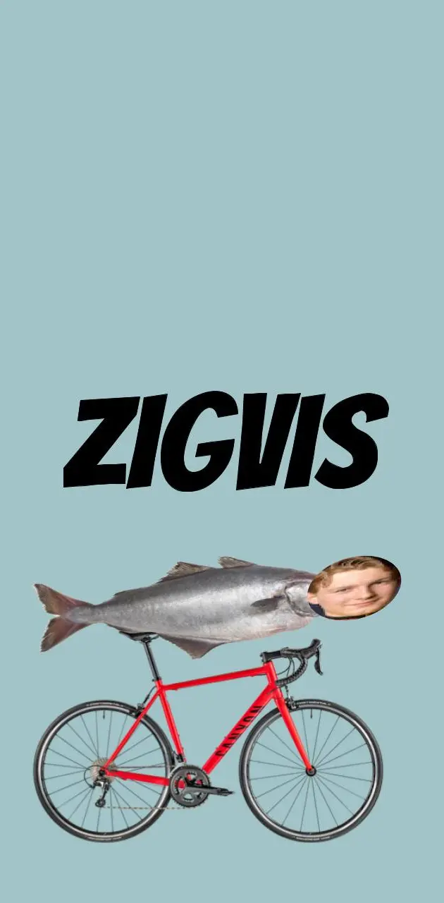 Zigvis