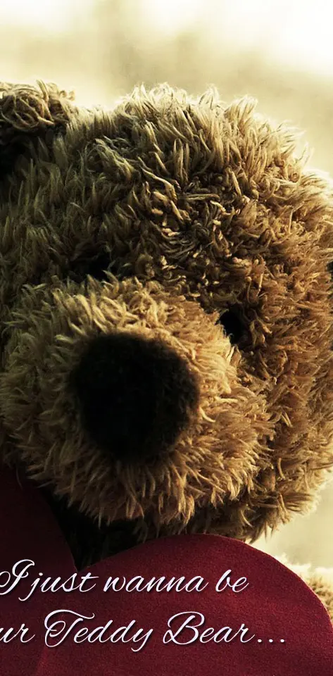 Your Teddy Bear