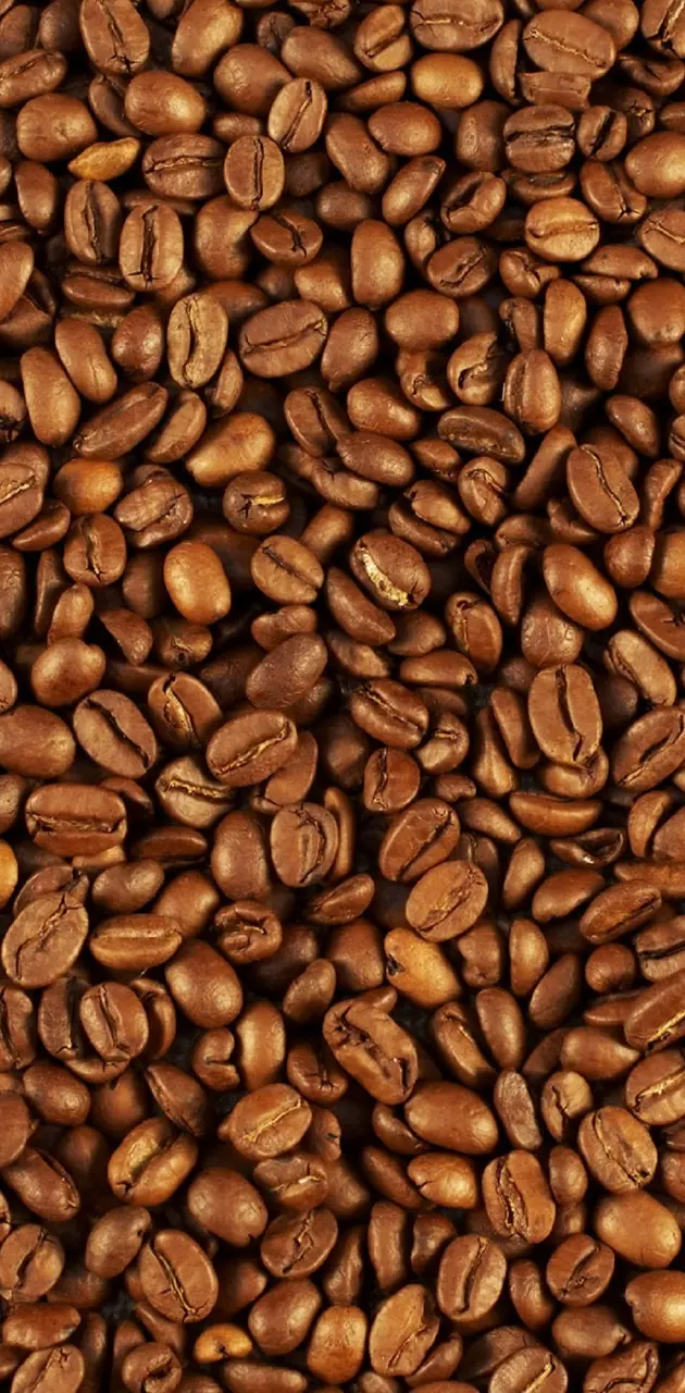 Wall of coffee beans