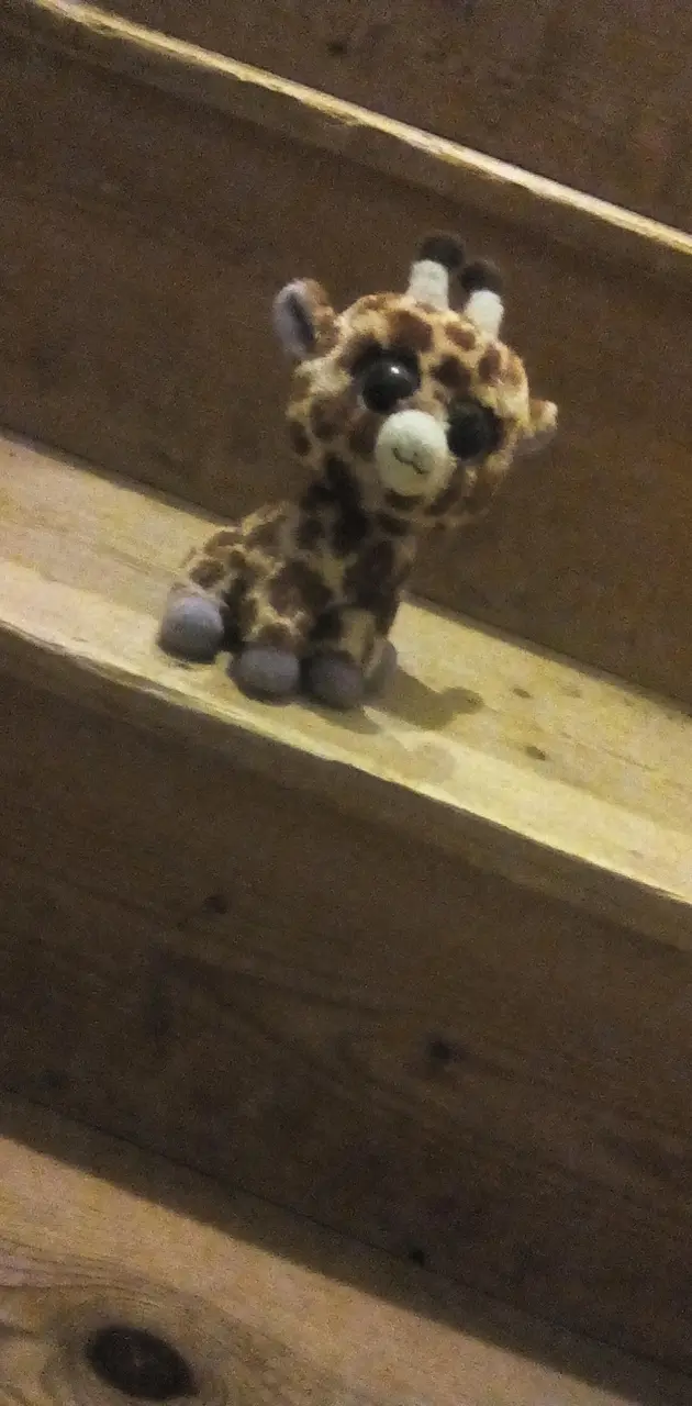 Lost giraffe