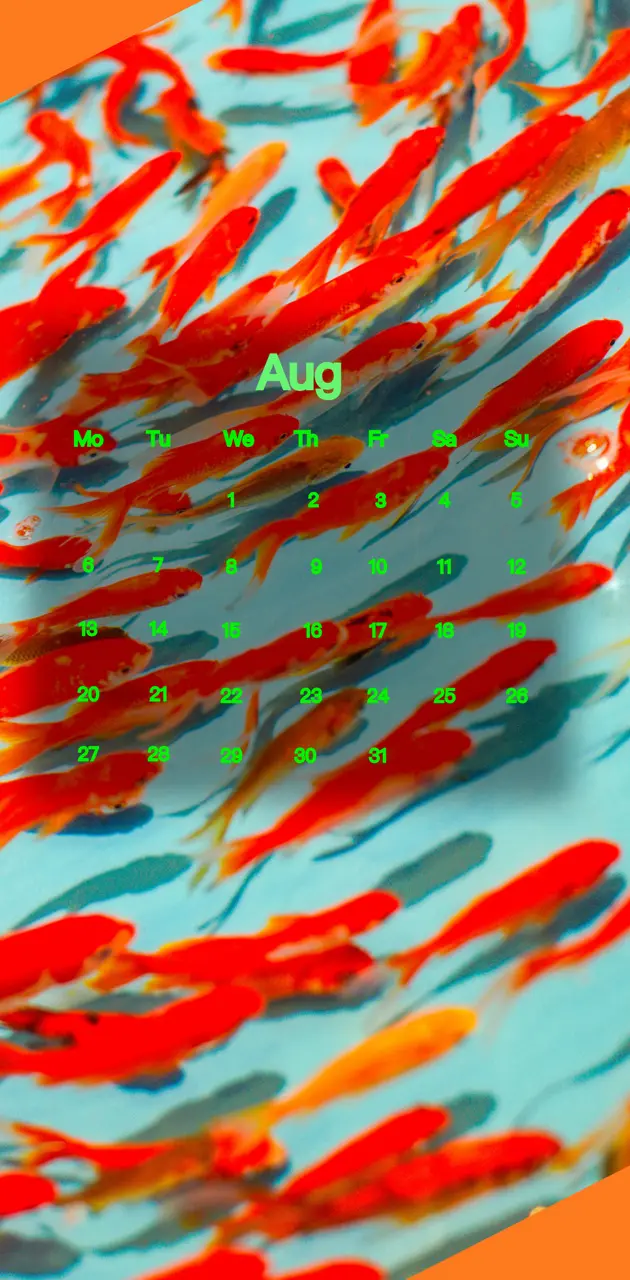 Fish August