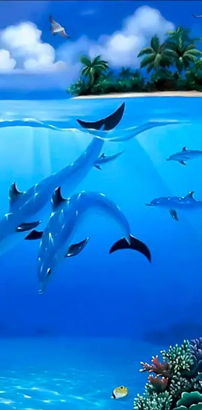 Dolphin In Blue Sea