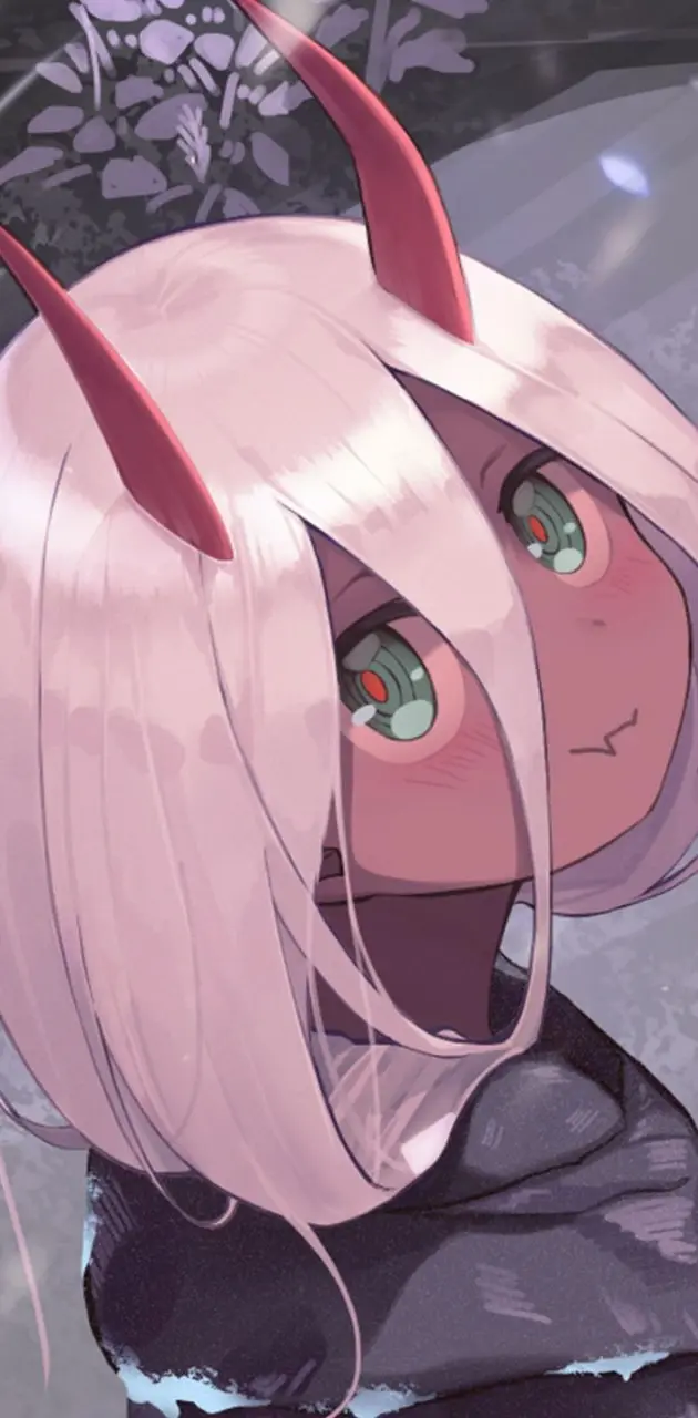 Young zerotwo