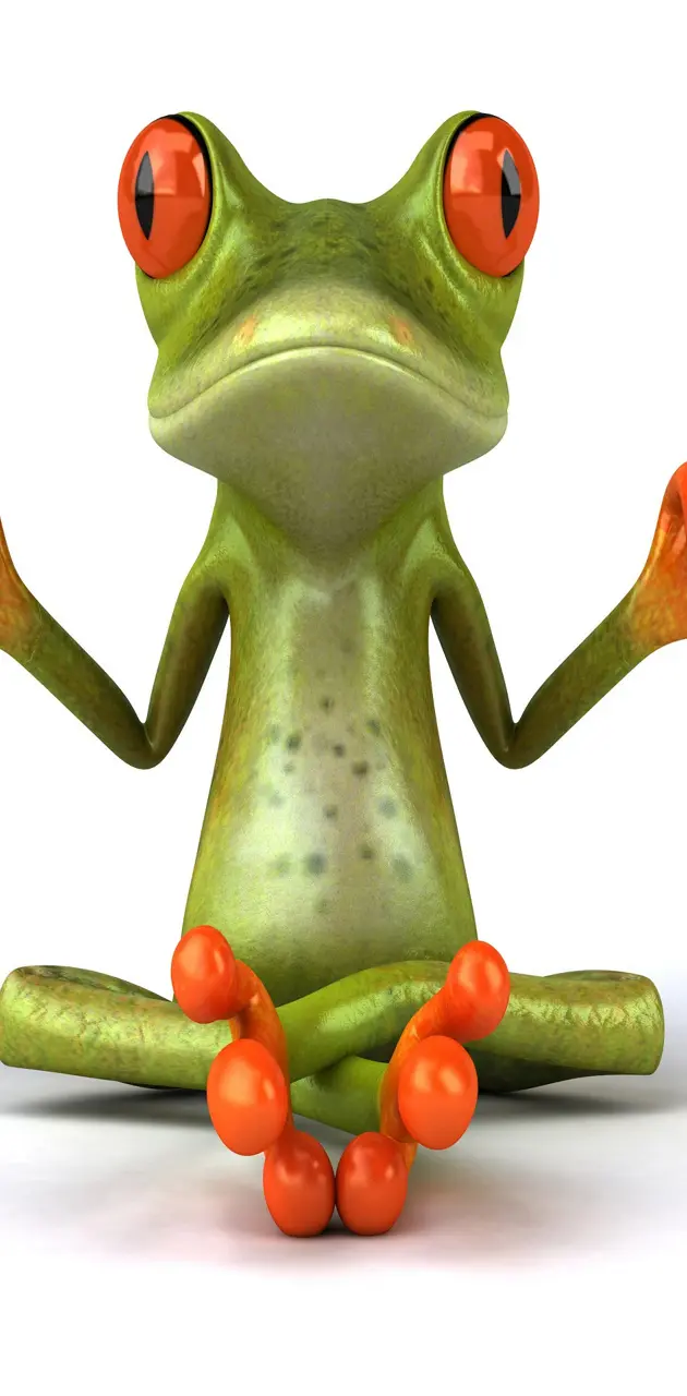 Frog Meditating