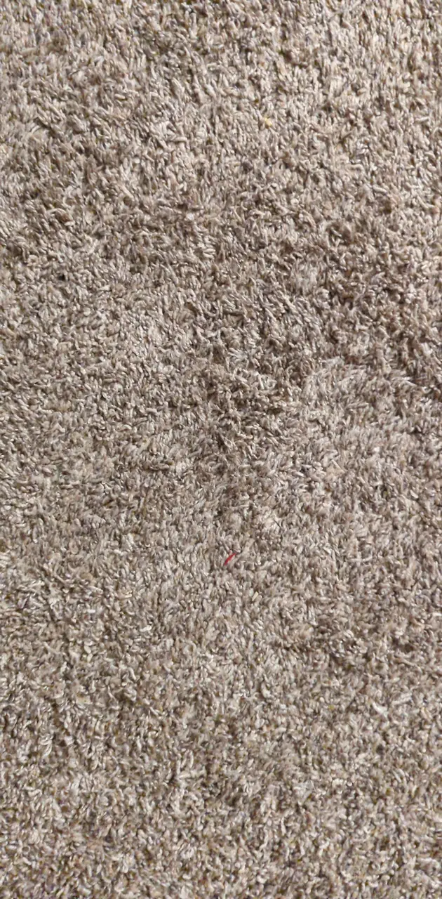Carpet Space