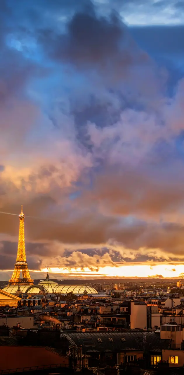 Eiffel tower view 