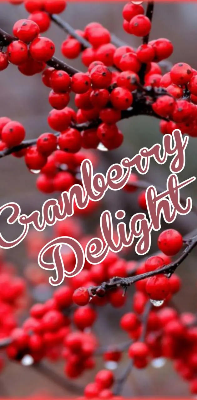 Cranberry Delight