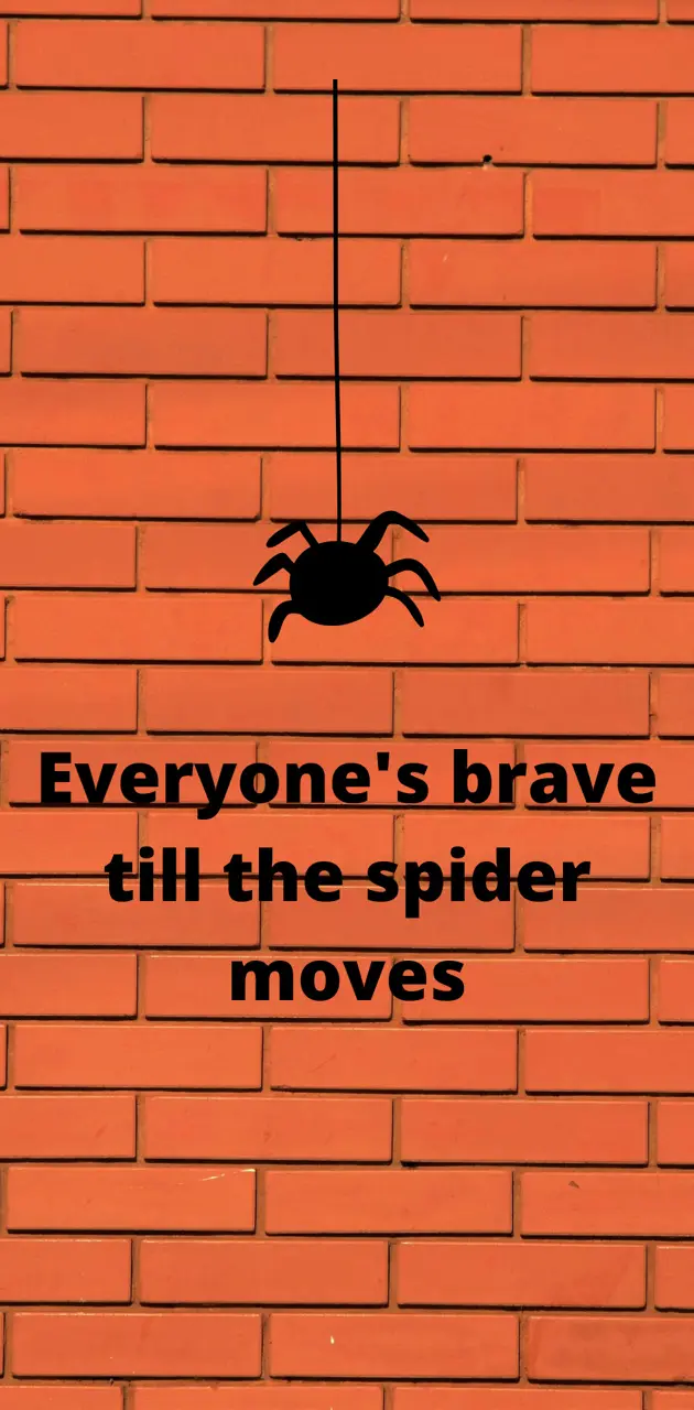  the spider moves