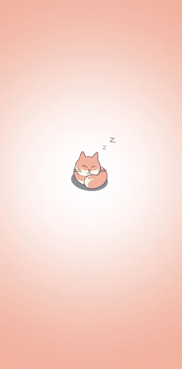 Tatlı Kedi Cute Cat