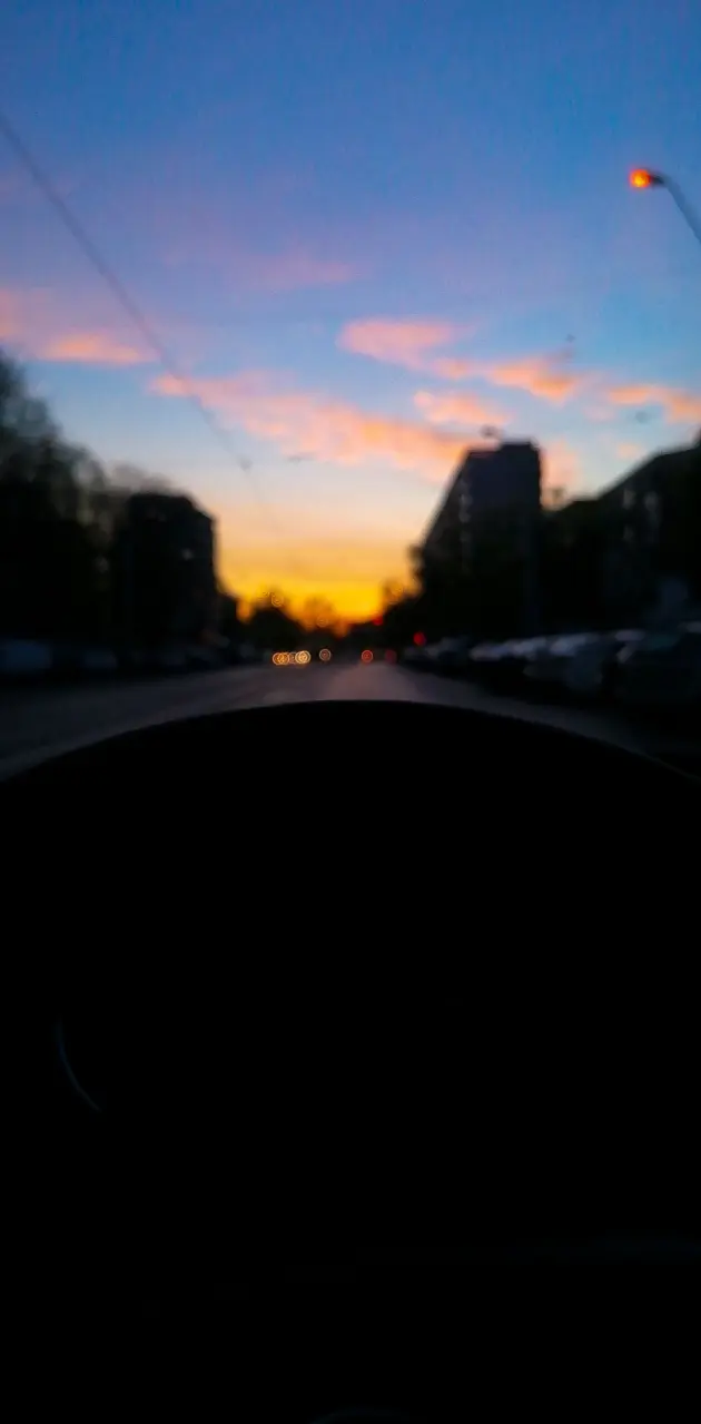 Evening drive