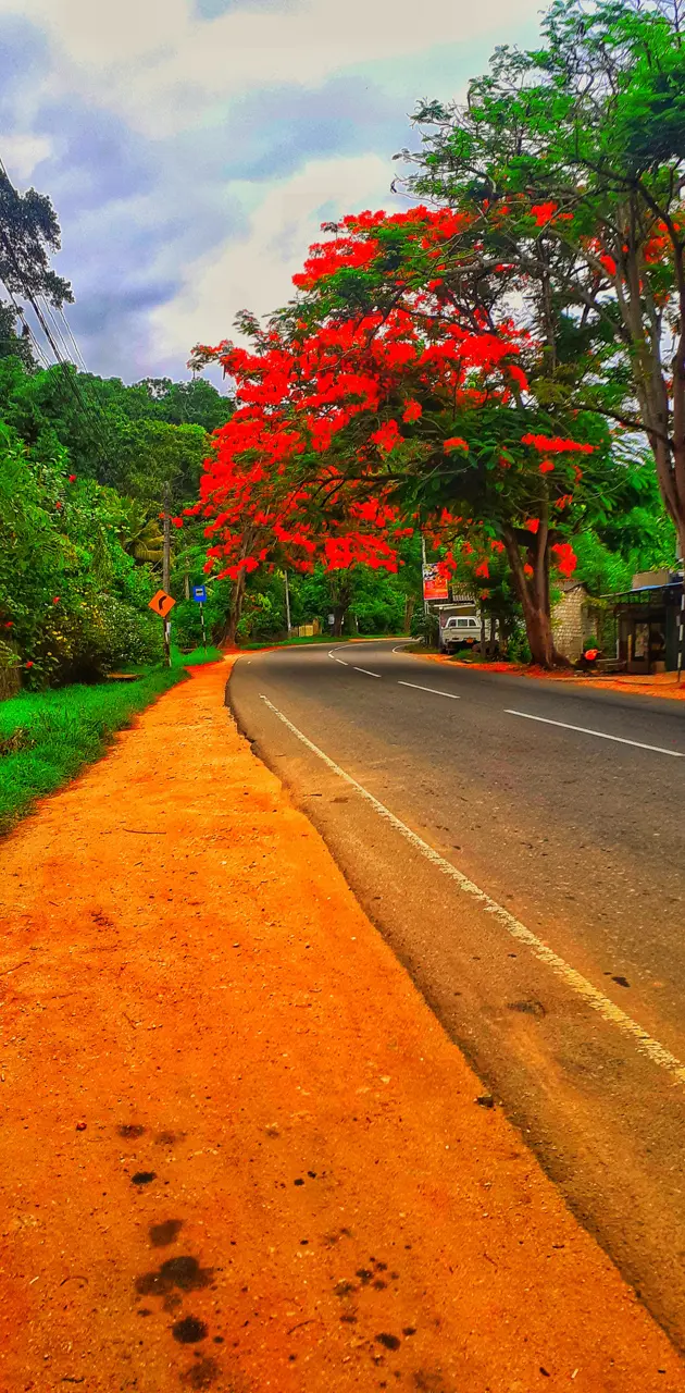 colourful street