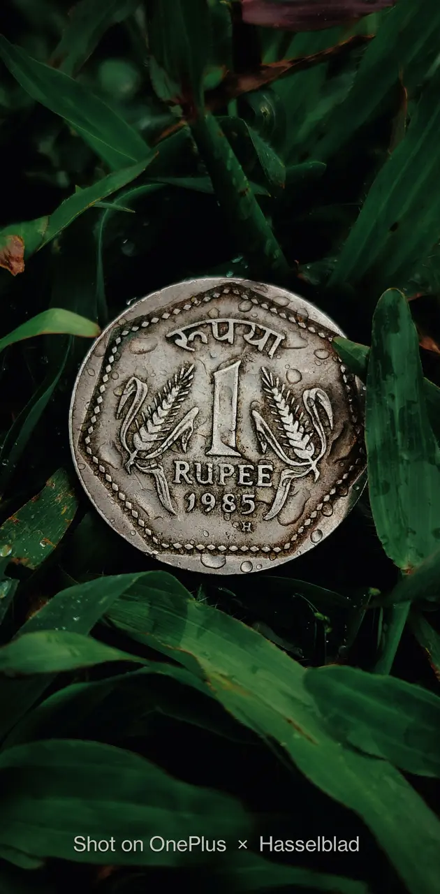 Indian Coin 