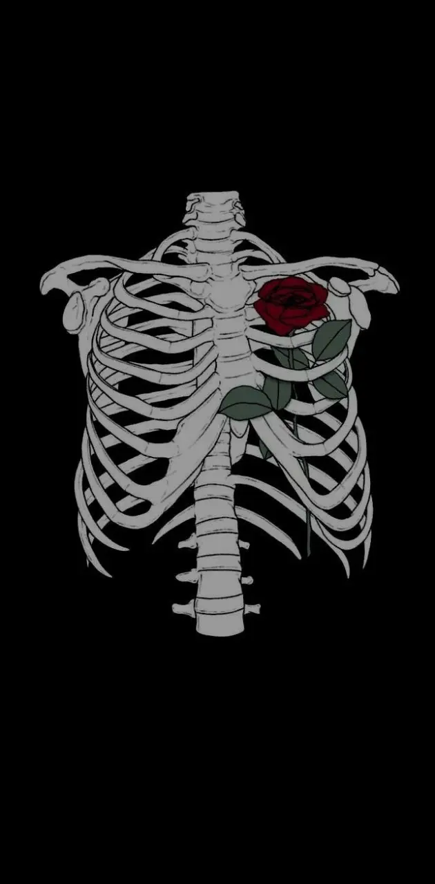 Heart skeleton
