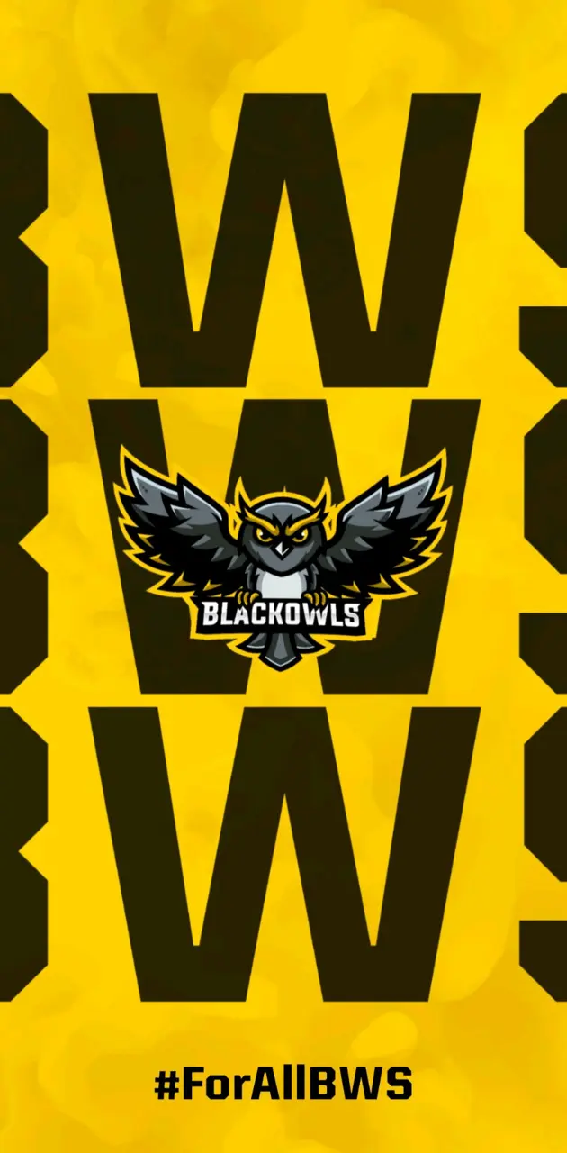 Black Owls Esports