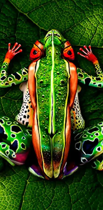 Female Frog