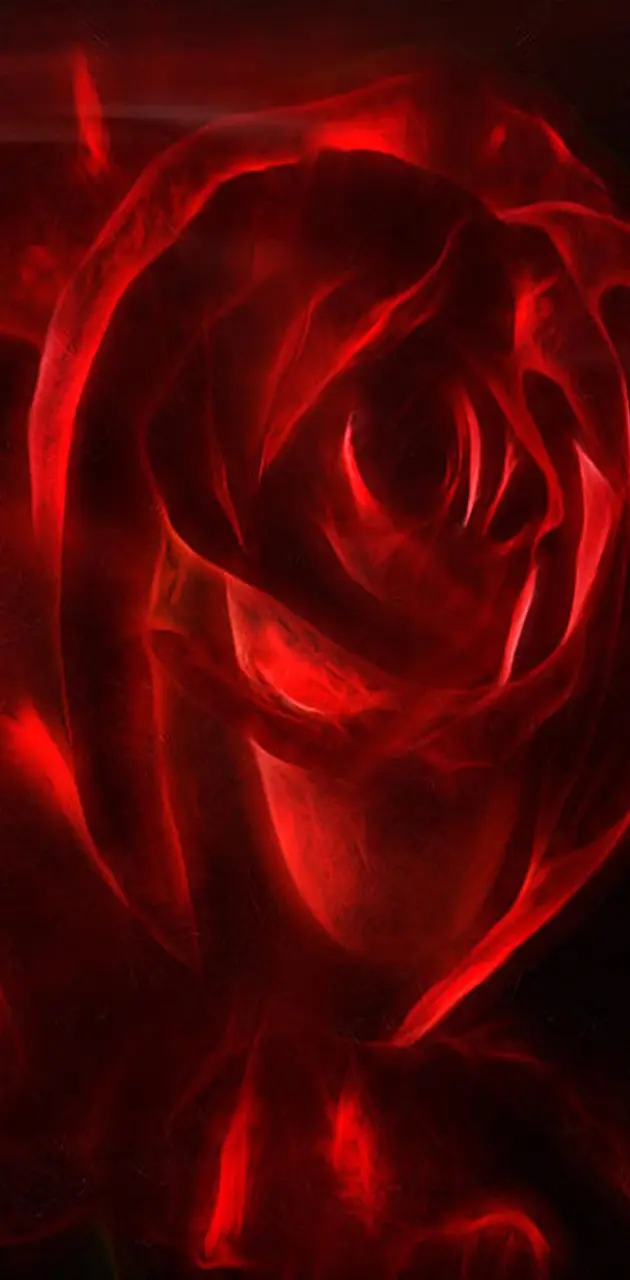 Red Rose wallpaper by _Savanna_ - Download on ZEDGE™ | 107c